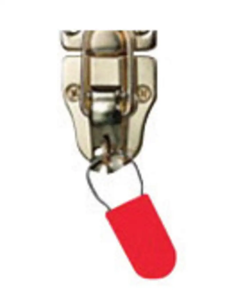 Brady® Red Polypropylene Padlock Seal Seal (5 Each)